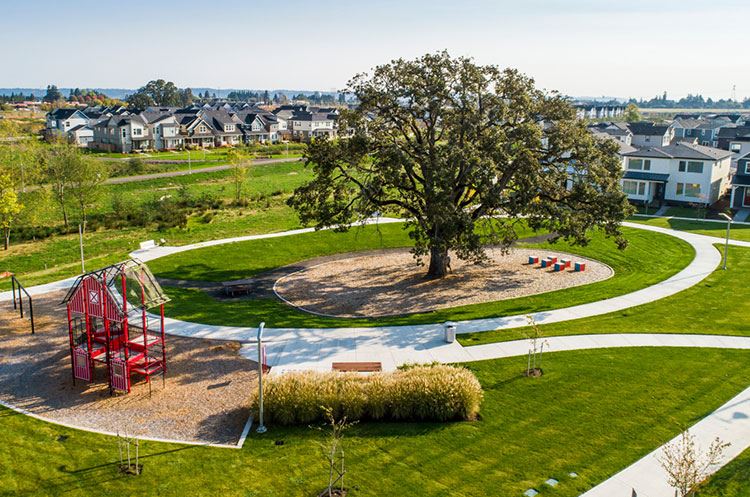 Dobbin Park in Reed's Crossing