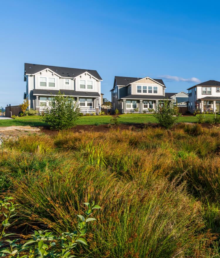 Greenspace in Reed's Crossing community in Hillsboro near Portland, Oregon