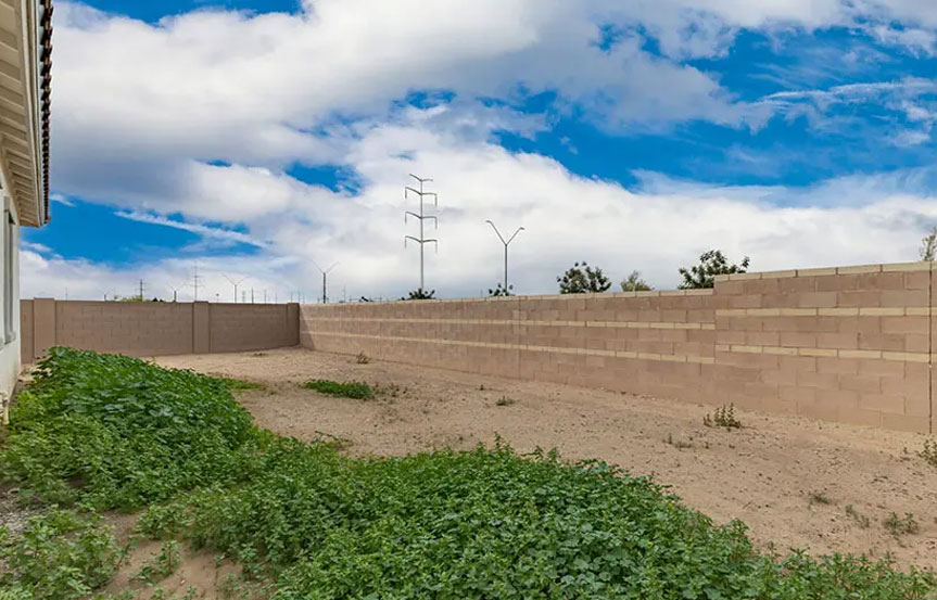 11662 W Luxton Ln Backyard