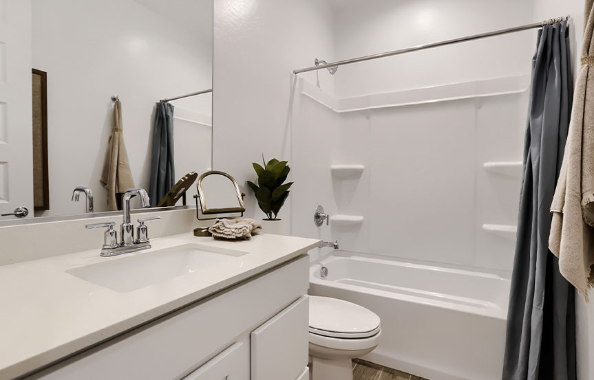 Alamar Lennar Ironwood Bath 4