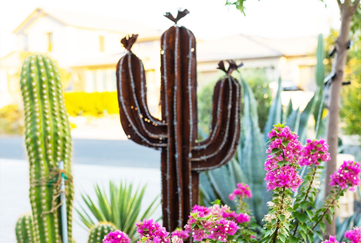 Cactus Yard Decor