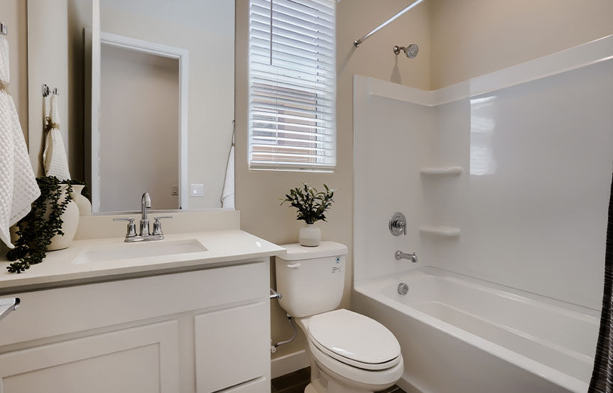 Alamar Lennar Ironwood Bath 3